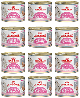 Royal canin دایک و بەچکە