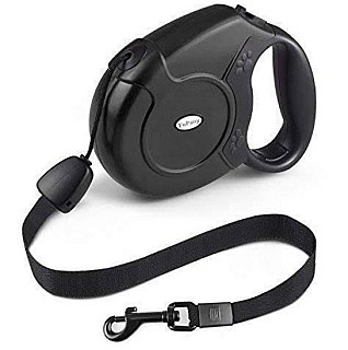 Retractable leash