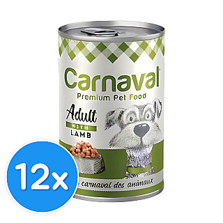 Carnaval Adult بەرخ