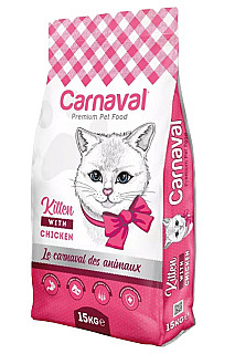 Carnaval Kitten