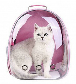 BTTNW جانتای هەڵگری ئاژەڵ