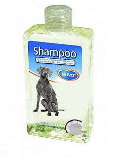 Duvo coconut shampoo