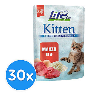 Life Cat Pouch Kitten - Beef