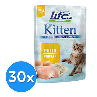 Life Cat Pouch Kitten - Chicken