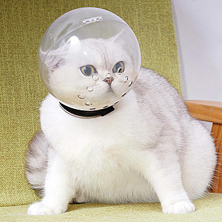 Cat Space Hood