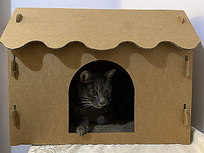 Cardboard Cat House
