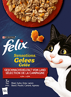 FELIX Variety of Flavors