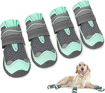 Dog Boots