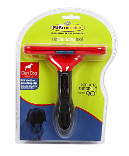 Short hair Deshedding