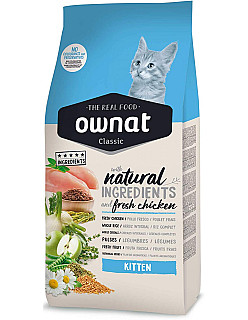 Ownat Kitten