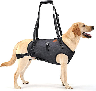 Dog Lift Harness