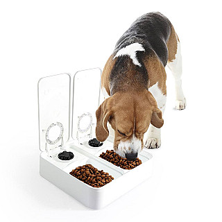Double Timer Feeder