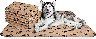 Soft Fleece Blanket