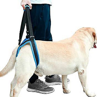 Dog Harness