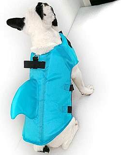 Dog Life Jackets