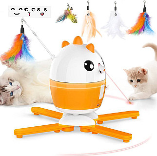 Cat Toy