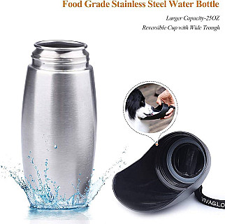 Vivaglory Steel Water Bottle
