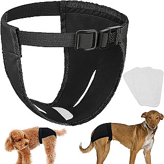 Dog Diapers