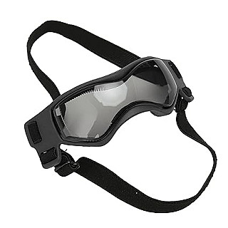 Dog Goggles