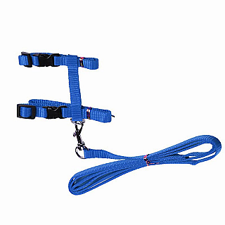 Collar  Leash