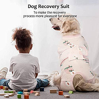 Kuoser Recovery Suit