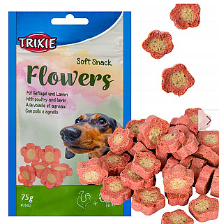 Trixie Flowers with Lamb
