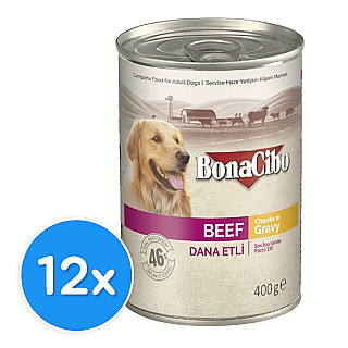 Bonacibo Adult گۆشتی مانگا لەناو شۆربا