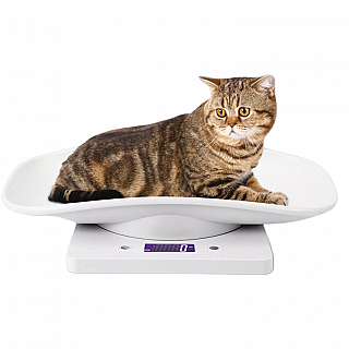 Pet Weighing Scale