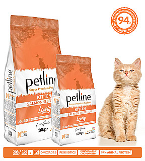 Petline Kitten سەلمۆن
