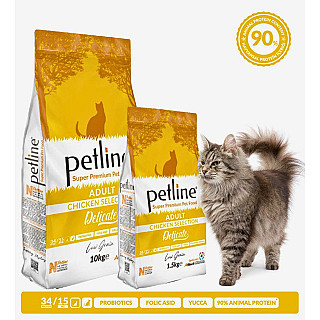 Petline Adult مریشك