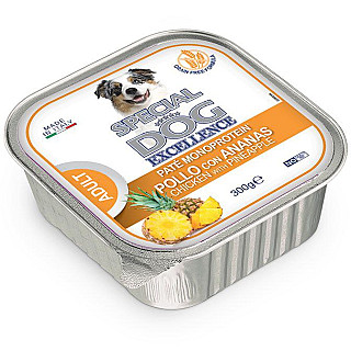 Special Dog Excellence  مریشکی پاتێ لەگەڵ ئەناناس