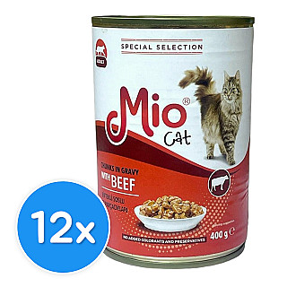 Mio گۆشتی مانگا