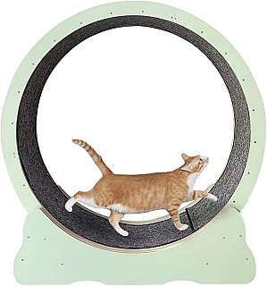 Cat Running Wheel