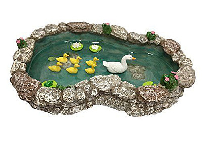 Duck pond