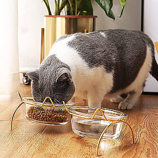 Glass Dual Bowls