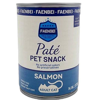 Faenbei Adult Cat With Salmon