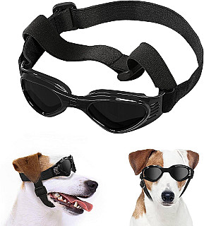 Dog Sunglasses For Swimming