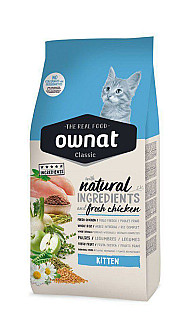 Ownat Kitten
