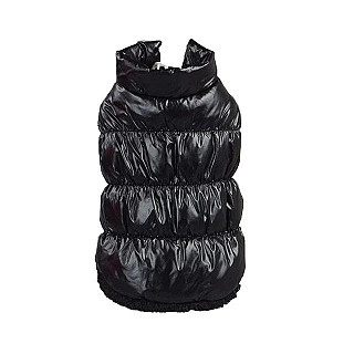 Cat Jacket