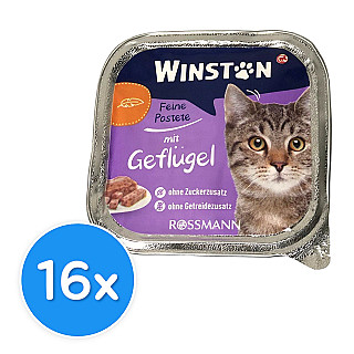 Winston Adult پەلەوەر