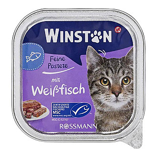Winston Adult ماسی سپی