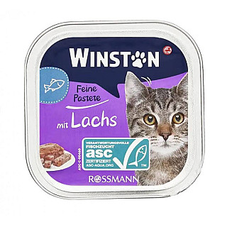 Winston Adult سەلەمۆن