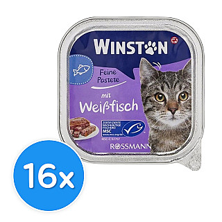 Winston Adult ماسی سپی