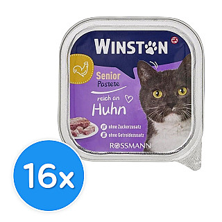 Winston Senior مریشک