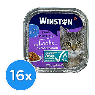 Winston Adult  سەلەمۆن بە سۆسی گیای