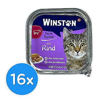 Winston Adult  گۆشتی مانگا