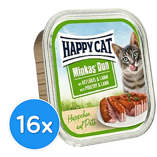 Happy Cat مريشك & بەرخ