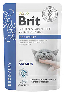 Brit Recovery with Salmon
