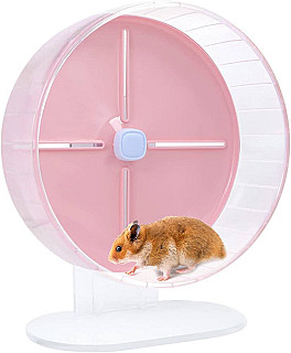 Hamster Wheel Exercise
