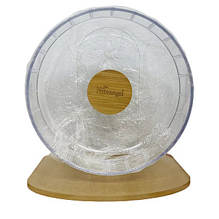 Hamster Wheel Exercise